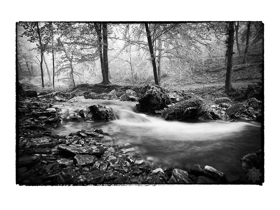 herfst, bos, riviertje, Ninglinspo, Nonceveux, België, provincie Luik, zwart-wit fotografie, landschapsfotografie, intersena