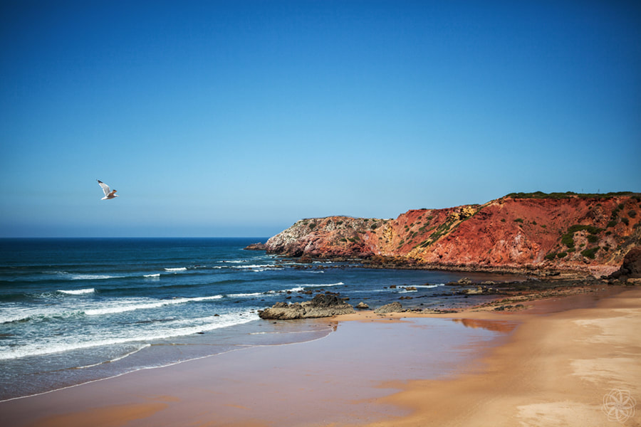 mooie klifkust, Costa da Carrapateira, Portugal, westkust, Praia do Amado, surfstrand, surfen, intersensa